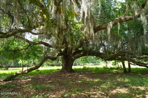 $575,355 | 0 West W Highway, Abbeville, LA 70510