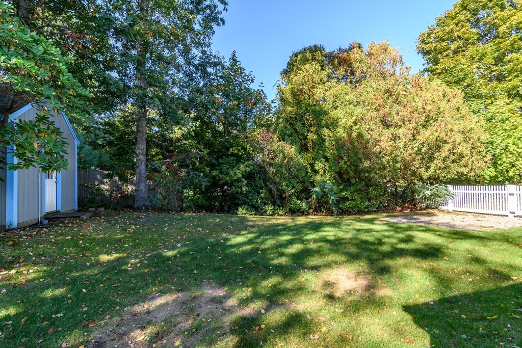 440 County Road Bourne, MA 02559 - Photo 7 of 27 a view of a big yard with plants and large trees
