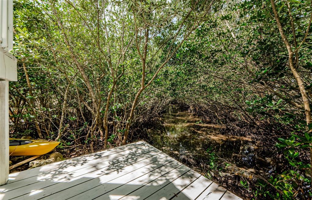 4844 Anchorage Cove Port Richey, FL 34668 - Photo 50 of 59