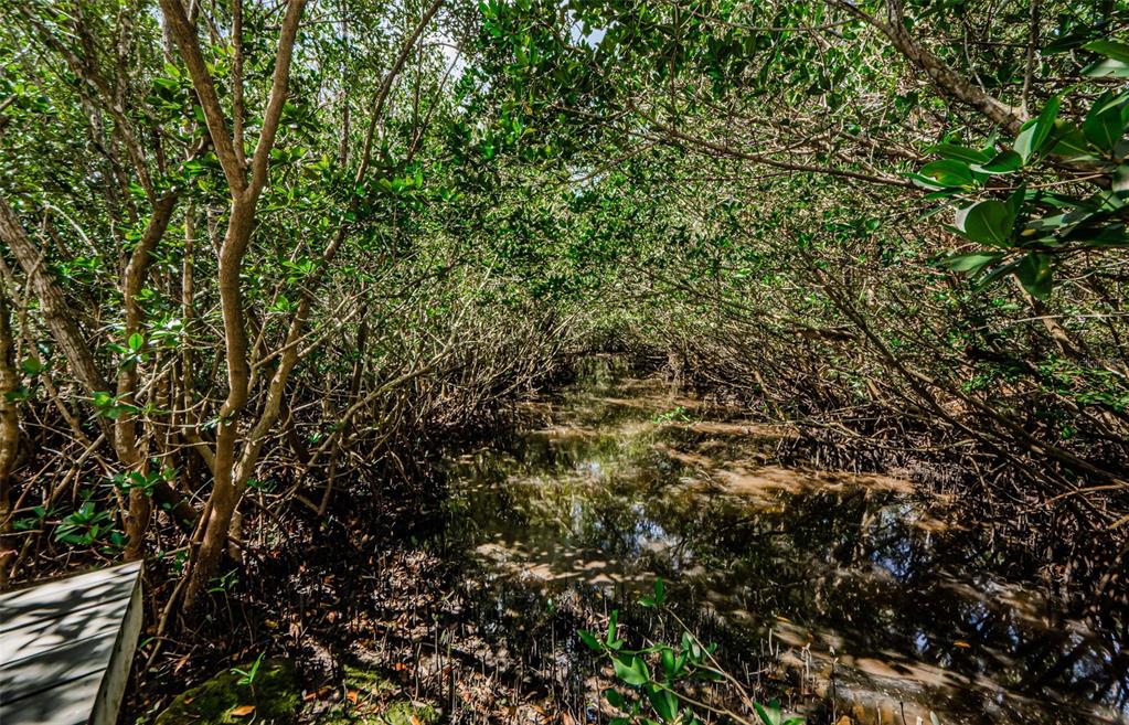 4844 Anchorage Cove Port Richey, FL 34668 - Photo 53 of 59