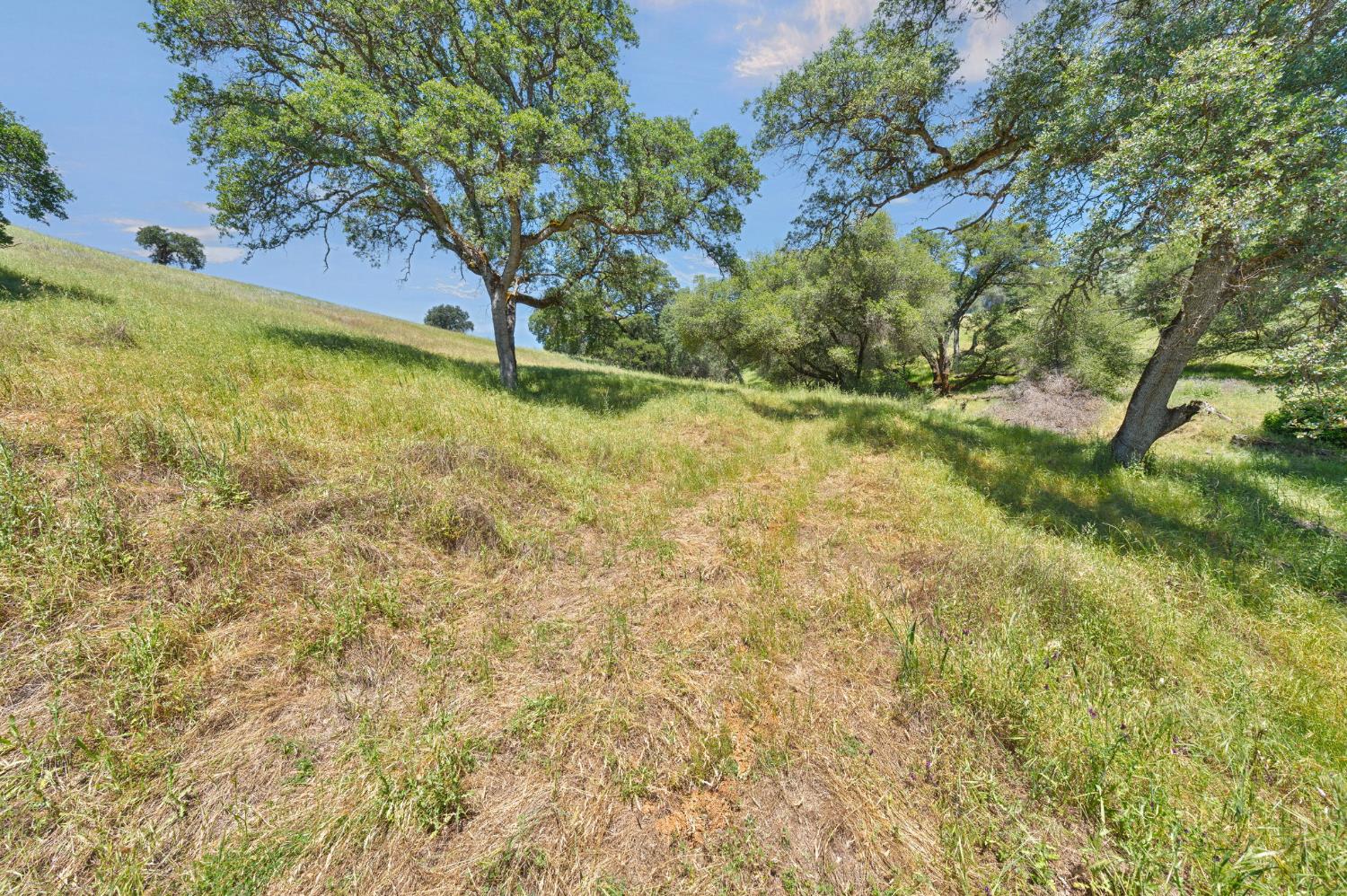 0 Bayne Road Garden Valley, CA 95633 - Photo 11 of 67