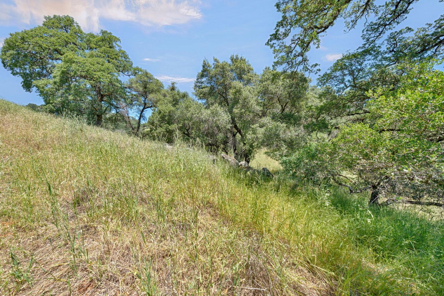 0 Bayne Road Garden Valley, CA 95633 - Photo 14 of 67