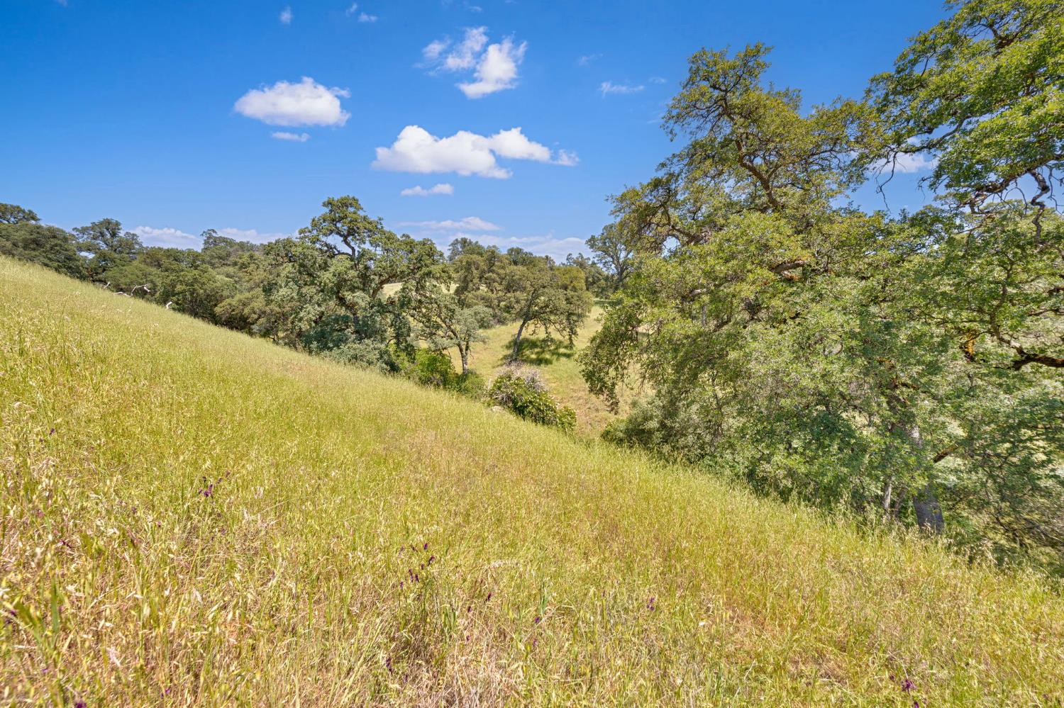 0 Bayne Road Garden Valley, CA 95633 - Photo 15 of 67