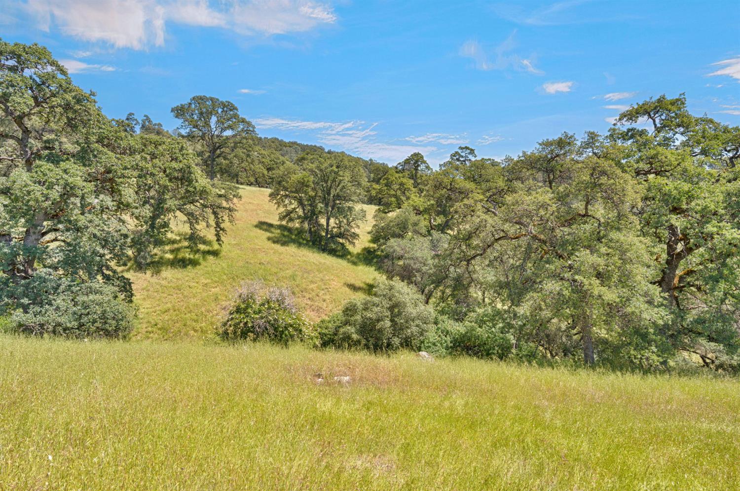 0 Bayne Road Garden Valley, CA 95633 - Photo 17 of 67