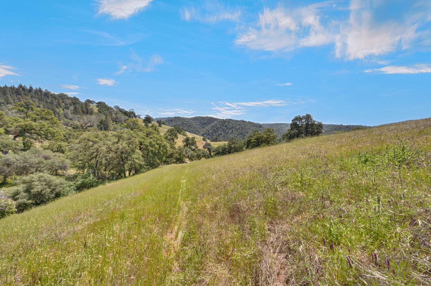 0 Bayne Road Garden Valley, CA 95633 - Photo 19 of 67
