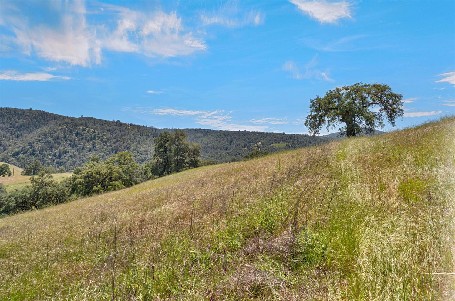 0 Bayne Road Garden Valley, CA 95633 - Photo 20 of 67