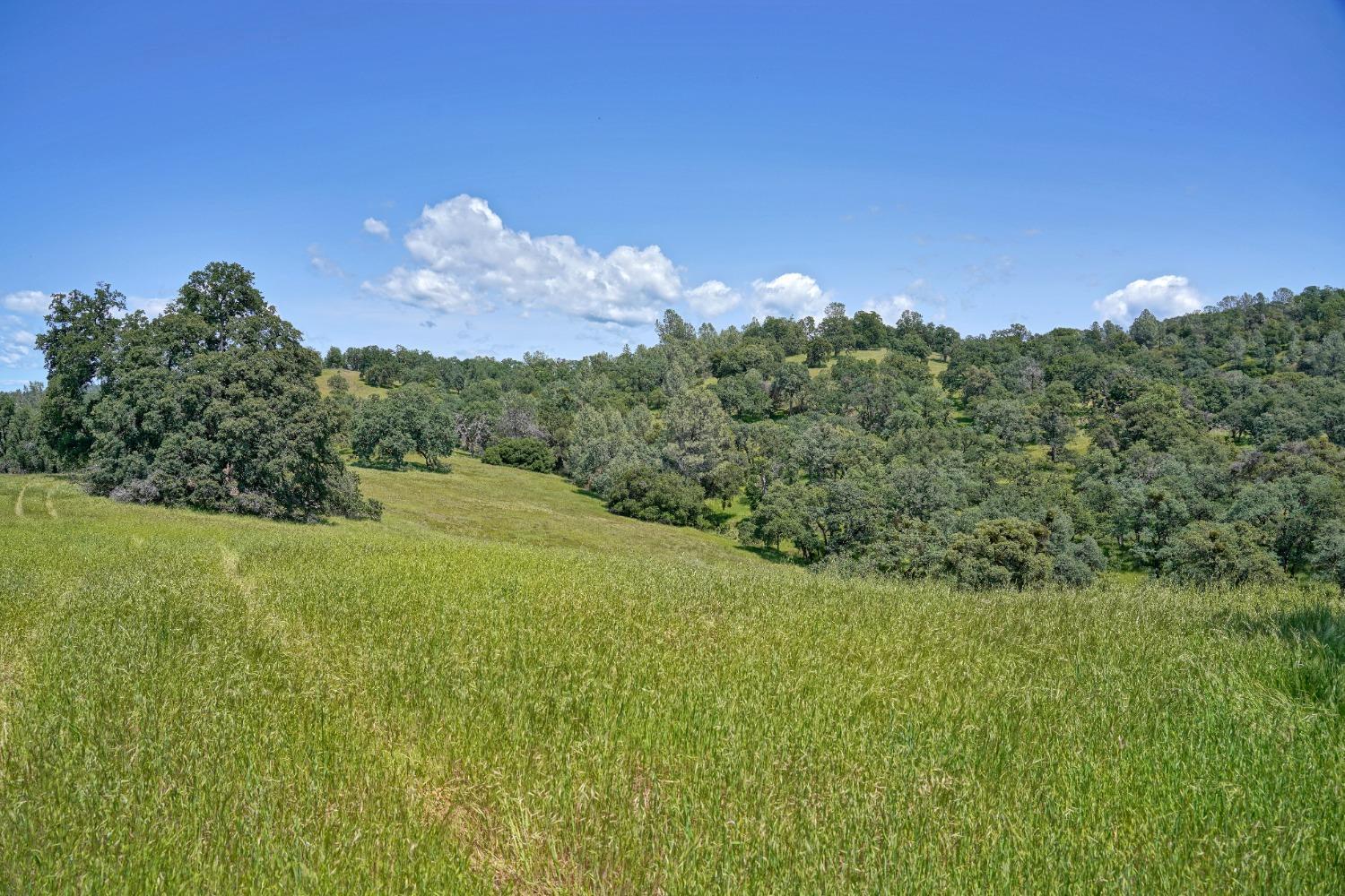 0 Bayne Road Garden Valley, CA 95633 - Photo 2 of 11