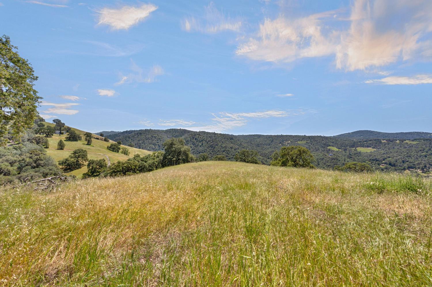 0 Bayne Road Garden Valley, CA 95633 - Photo 22 of 67