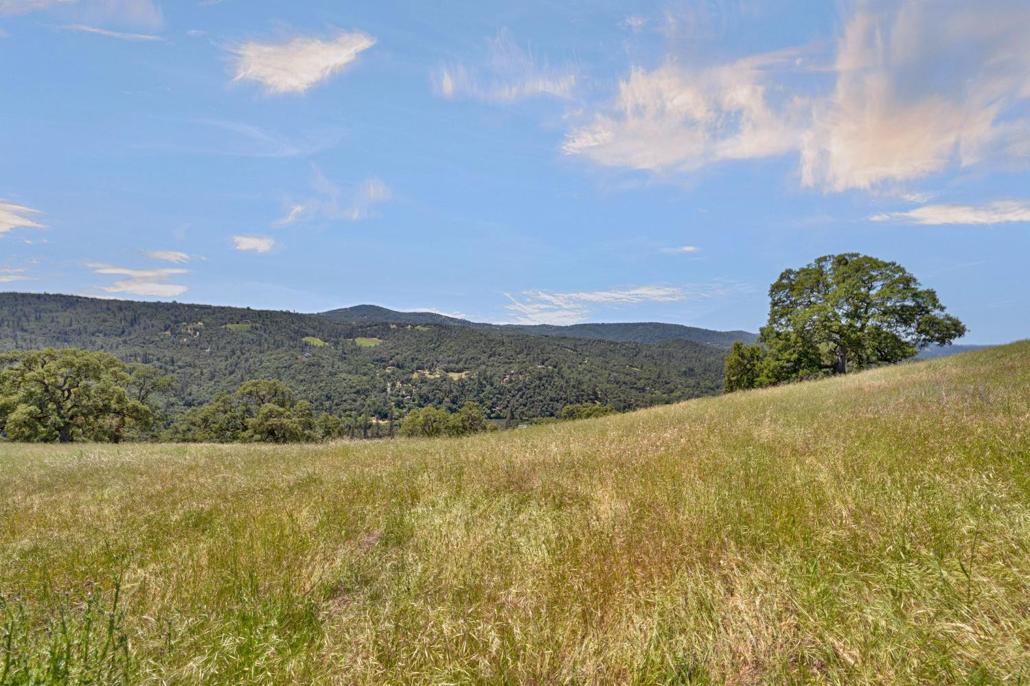 0 Bayne Road Garden Valley, CA 95633 - Photo 23 of 67