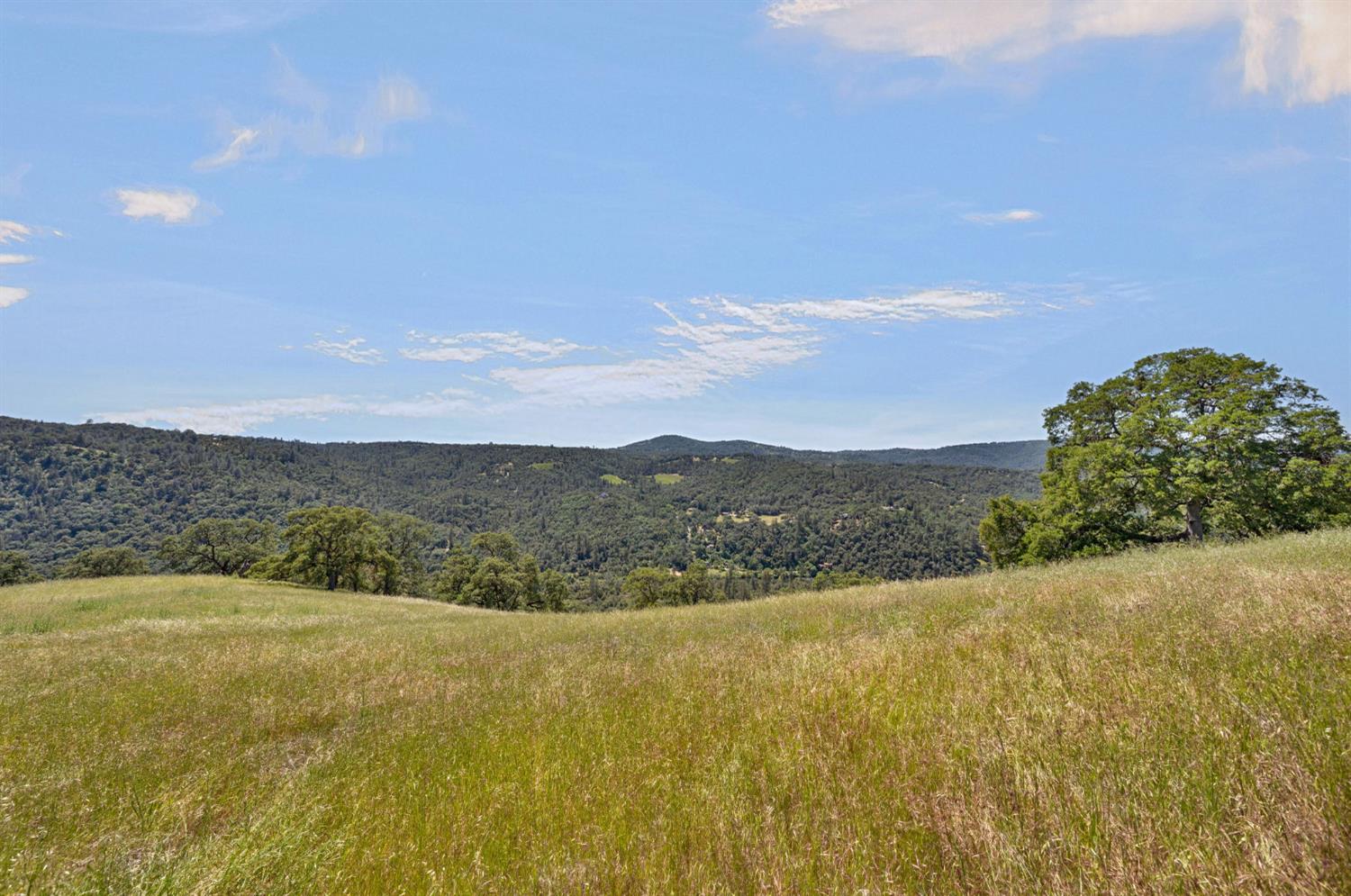 0 Bayne Road Garden Valley, CA 95633 - Photo 25 of 67