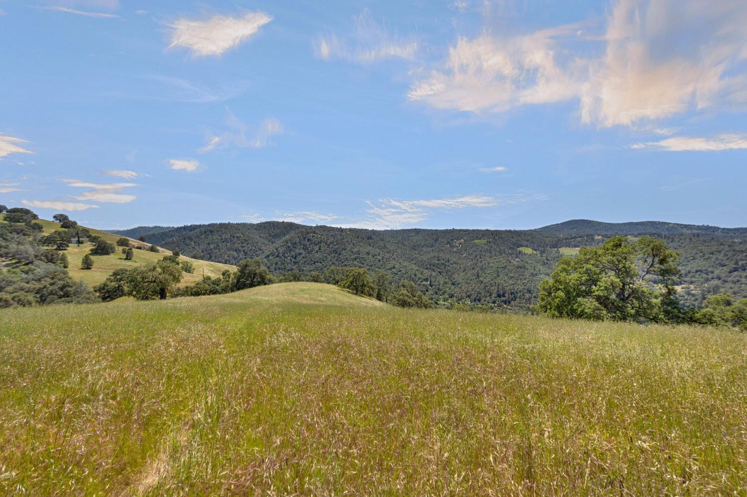 0 Bayne Road Garden Valley, CA 95633 - Photo 27 of 67