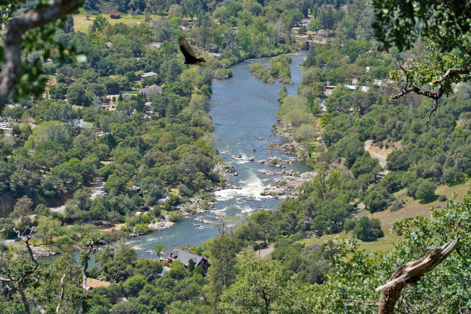 0 Bayne Road Garden Valley, CA 95633 - Photo 3 of 11