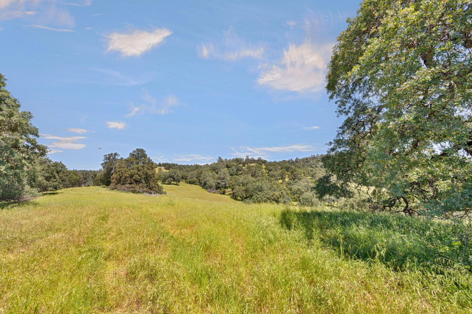 0 Bayne Road Garden Valley, CA 95633 - Photo 34 of 67
