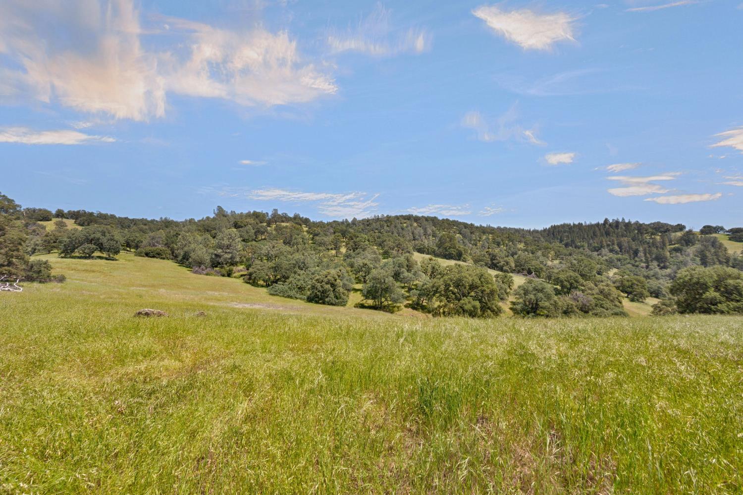 0 Bayne Road Garden Valley, CA 95633 - Photo 35 of 67
