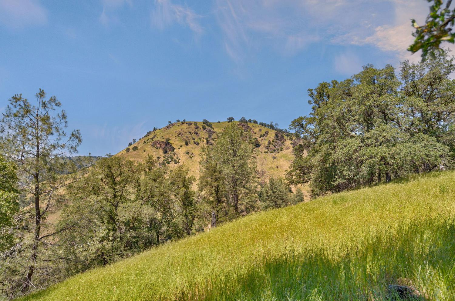 0 Bayne Road Garden Valley, CA 95633 - Photo 39 of 67
