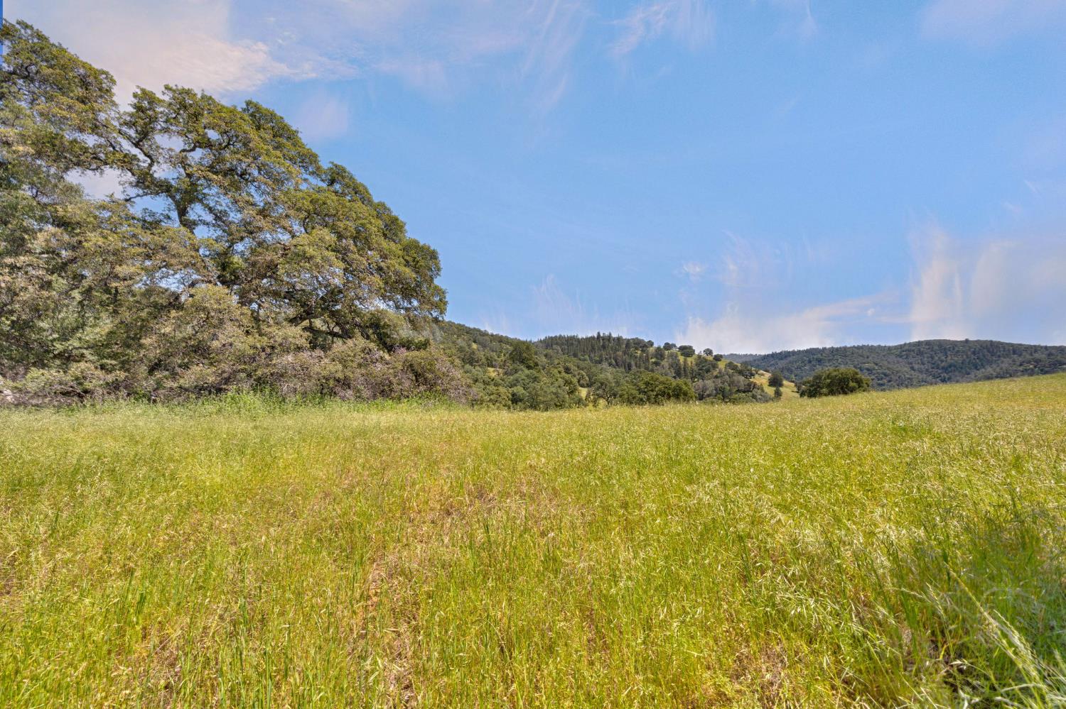 0 Bayne Road Garden Valley, CA 95633 - Photo 40 of 67