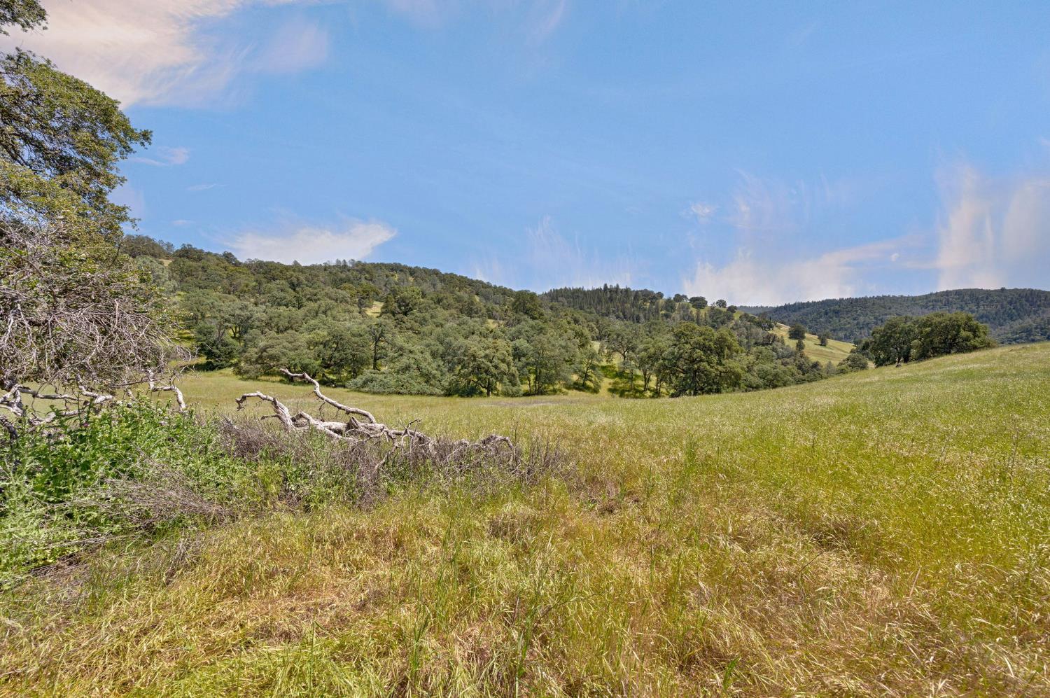 0 Bayne Road Garden Valley, CA 95633 - Photo 41 of 67