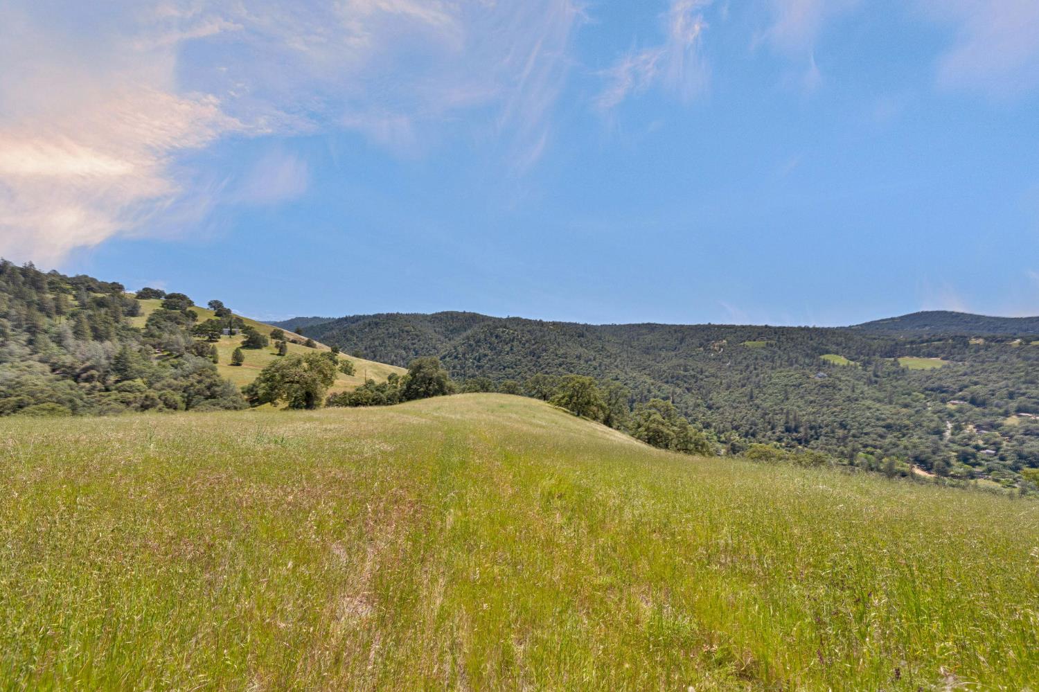 0 Bayne Road Garden Valley, CA 95633 - Photo 43 of 67