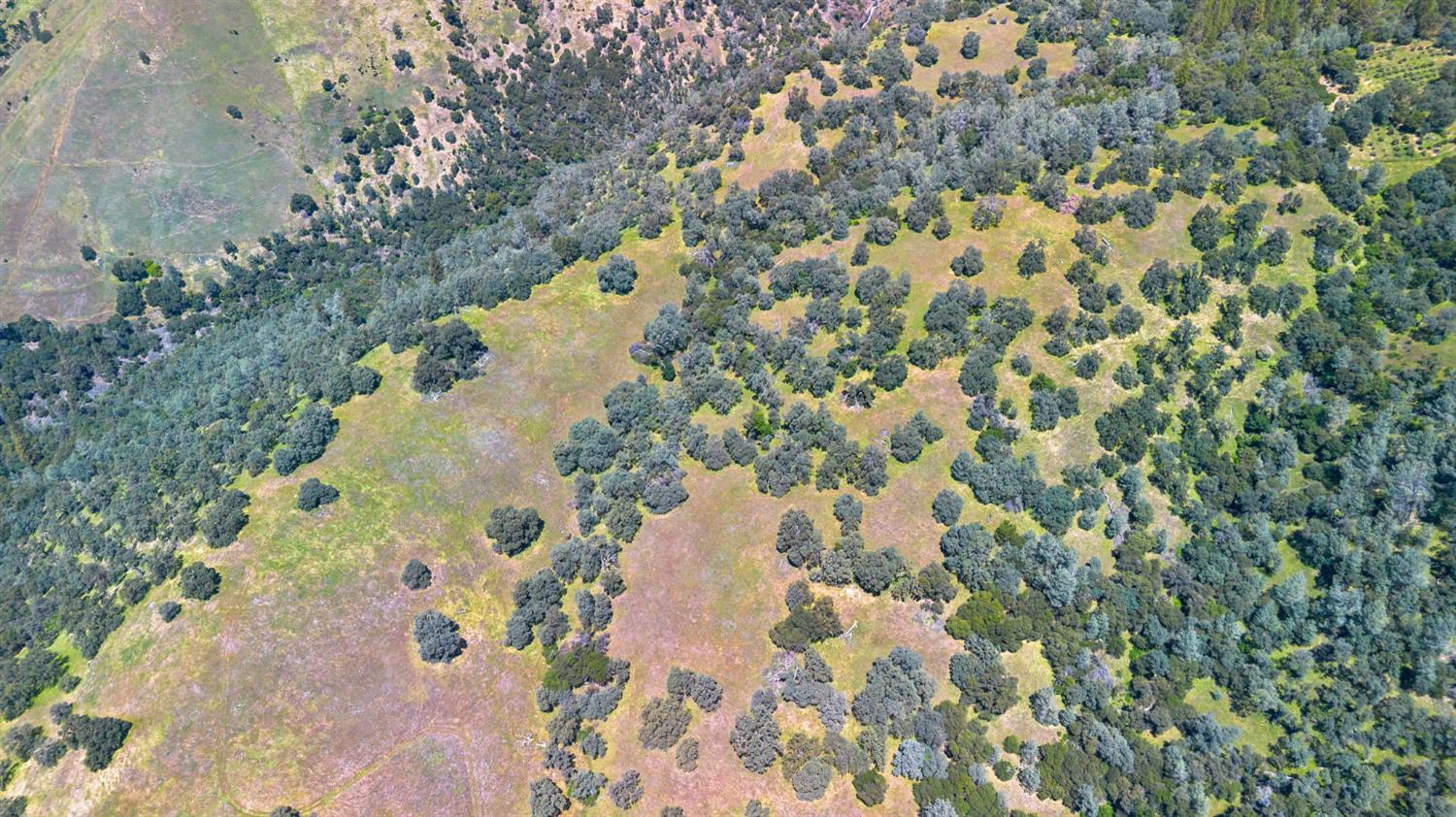 0 Bayne Road Garden Valley, CA 95633 - Photo 50 of 67