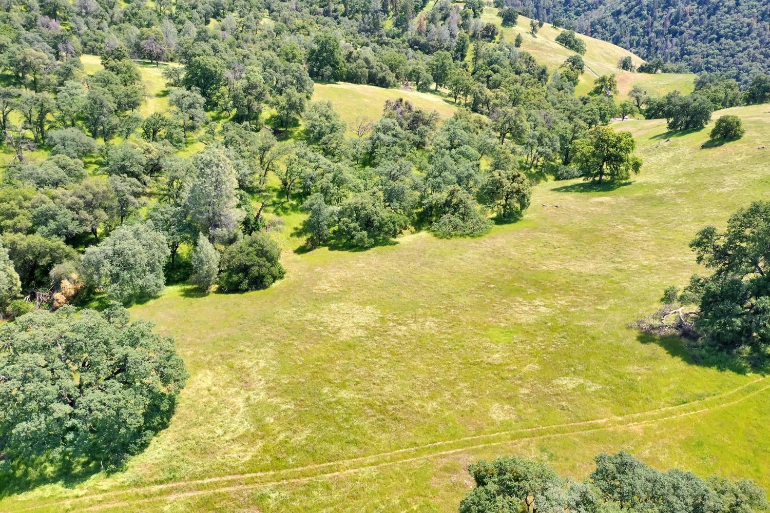 0 Bayne Road Garden Valley, CA 95633 - Photo 6 of 11