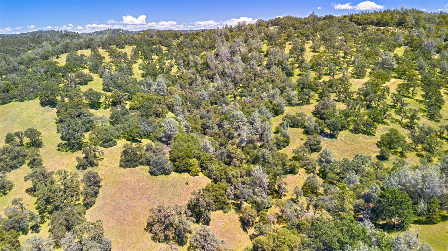 0 Bayne Road Garden Valley, CA 95633 - Photo 61 of 67