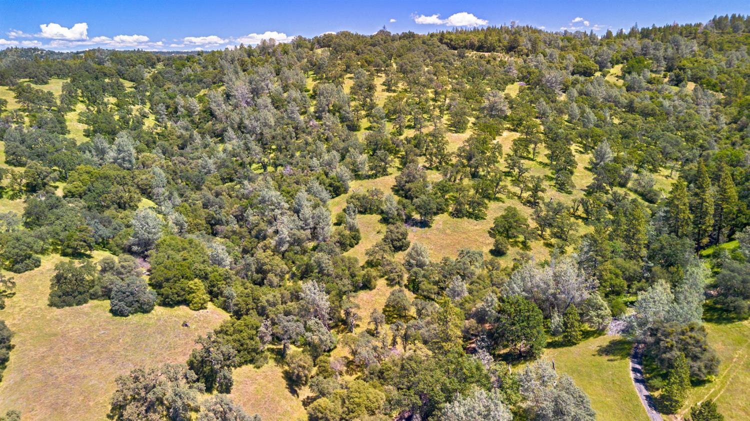 0 Bayne Road Garden Valley, CA 95633 - Photo 62 of 67