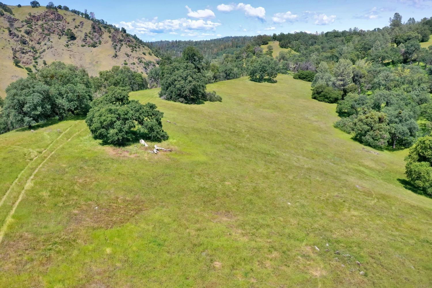 0 Bayne Road Garden Valley, CA 95633 - Photo 7 of 11