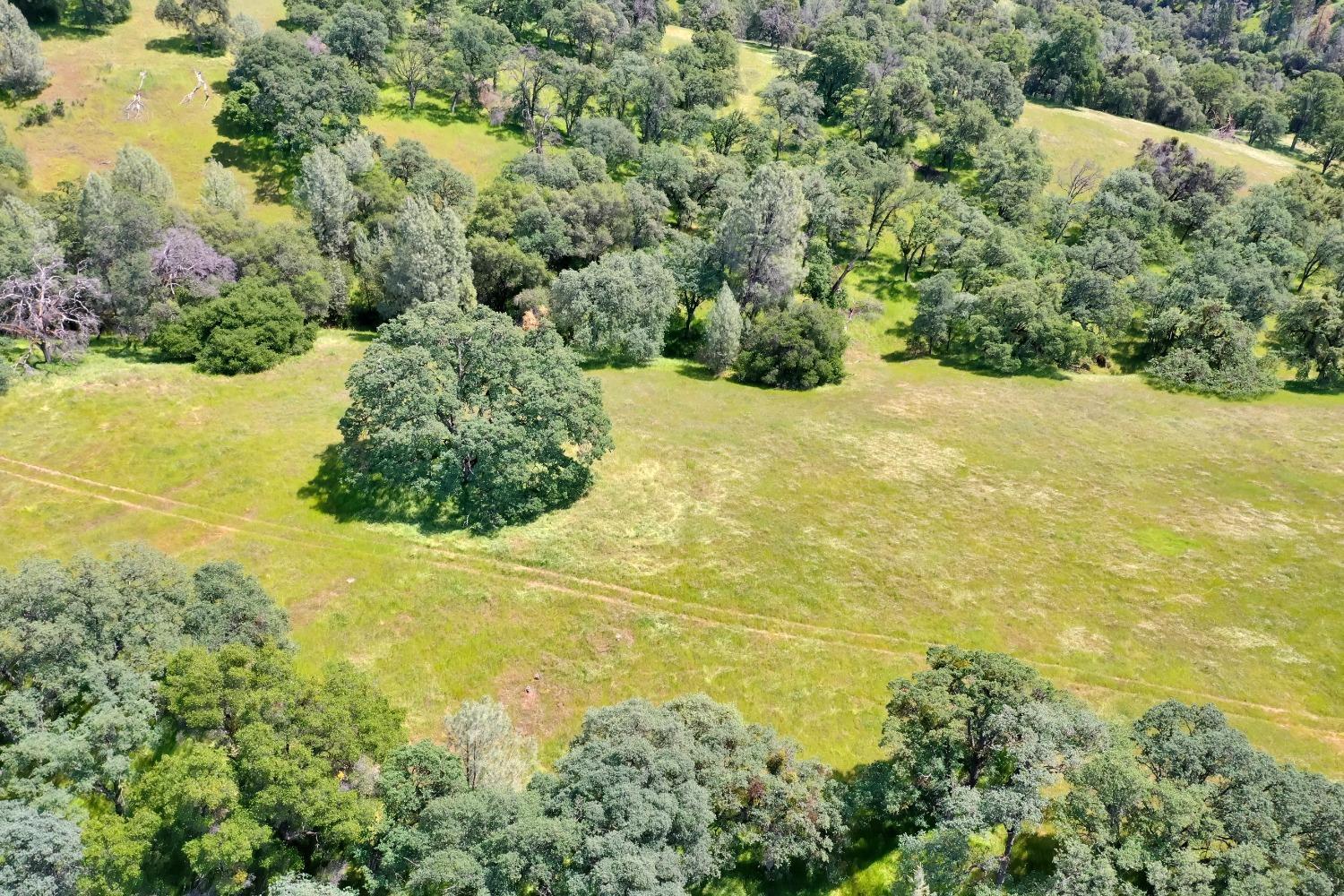 0 Bayne Road Garden Valley, CA 95633 - Photo 8 of 11