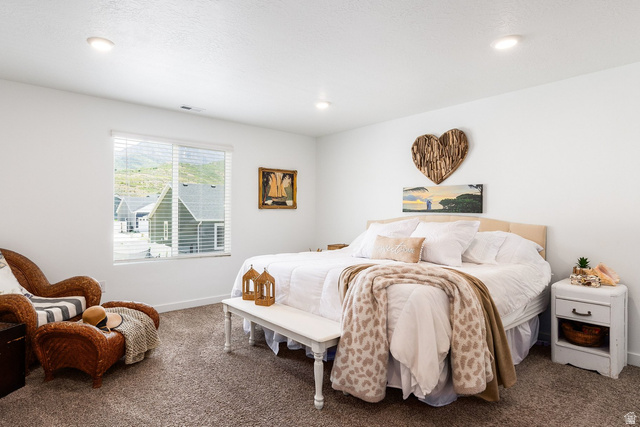 1219 South Raintree Lane West Santaquin, UT 84655 - Photo 2 of 34