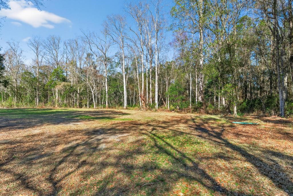 2744 Roy Sikes Road Hilliard, FL 32046 - Photo 89 of 97 a view of a yard with large trees