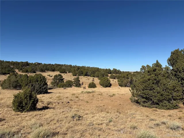 a view of a snow on the beach