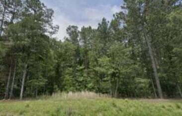 Lot C Duncan Road Johnston, SC 29832 - Photo 1 of 1 Gallery Image 1