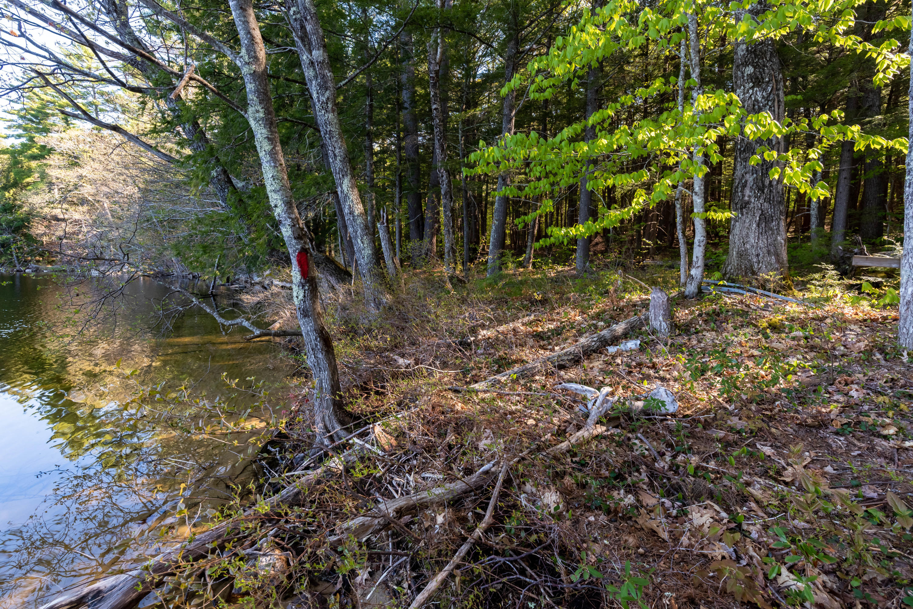 2 North Lower Bay Road Lovell, ME 04051 - Photo 6 of 10 Shoreline