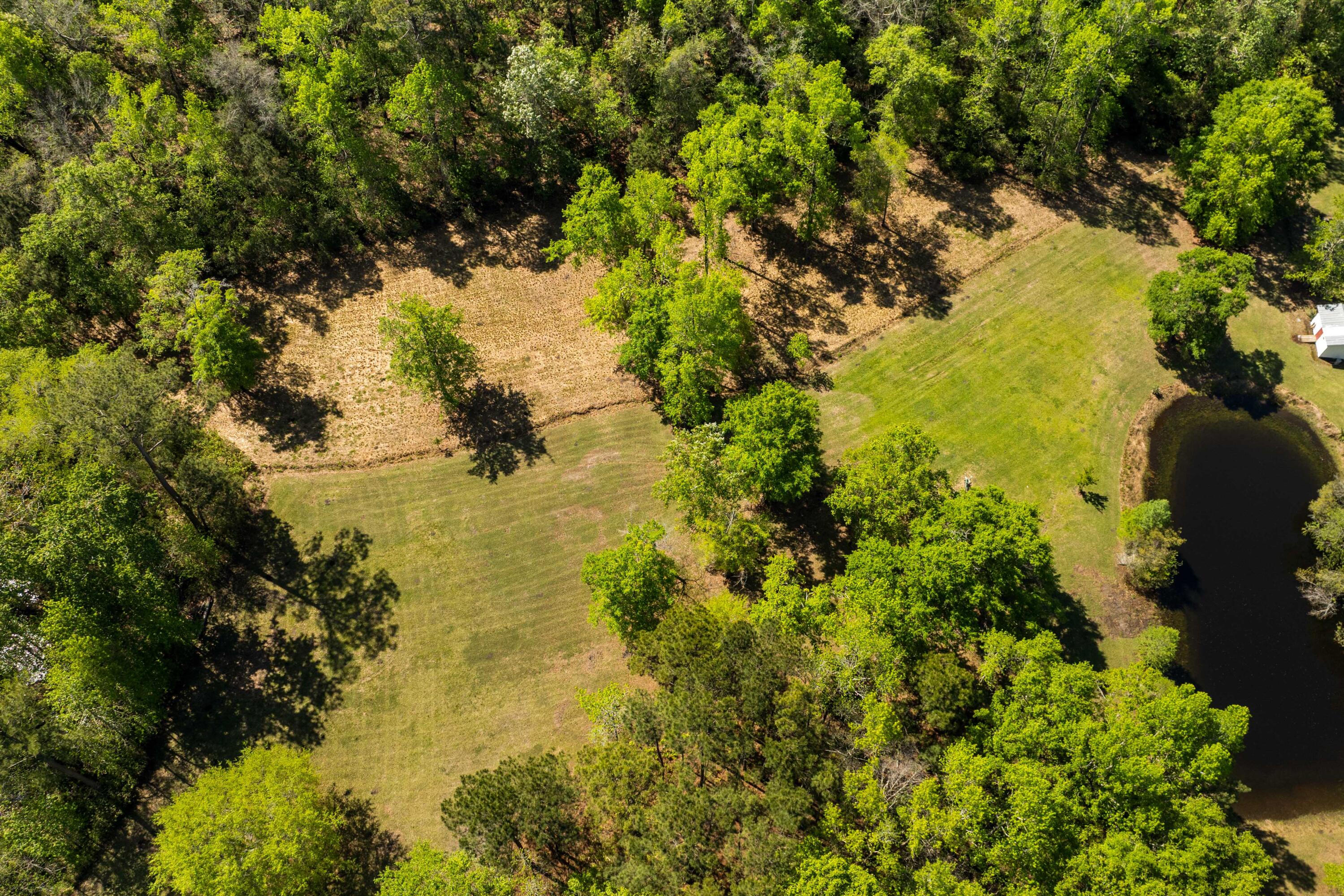5680 Dixie Plantation Road Hollywood, SC 29449 - Photo 63 of 72 Pasture Areas