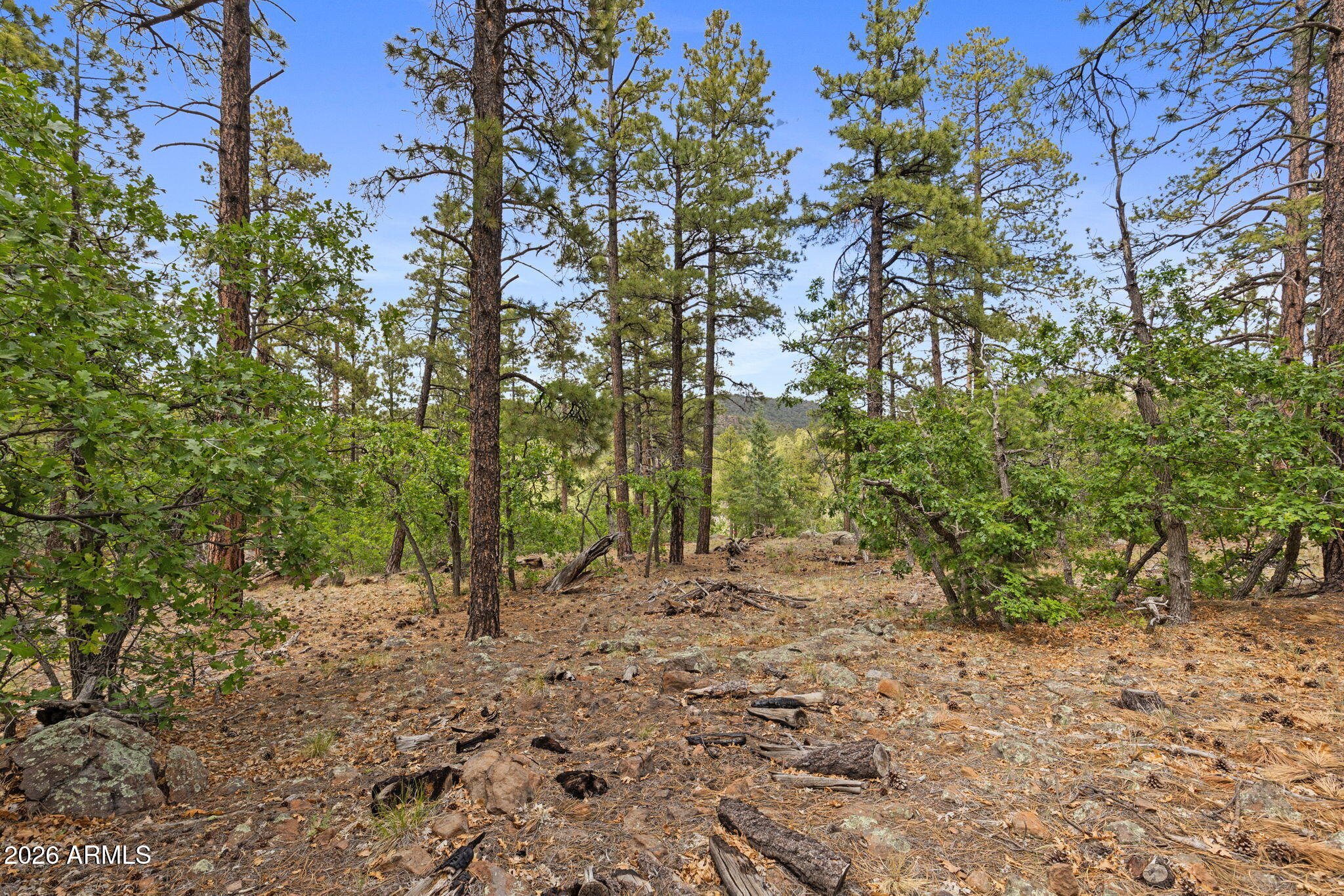 1628 Canyon View Loop, Unit 27 Williams, AZ 86046 - Photo 21 of 27