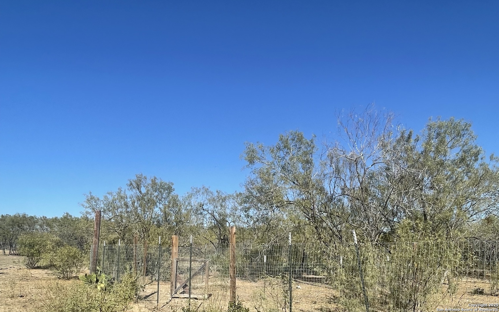 0 Fm 1346 St. Hedwig, TX 78152 - Photo 8 of 17 a view of a forest