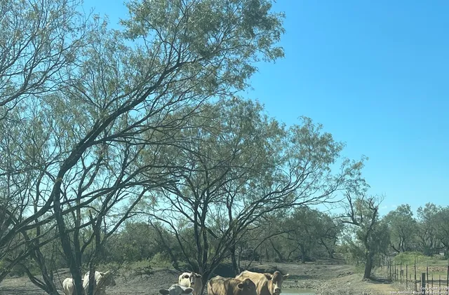 a view of an outdoor space with seating