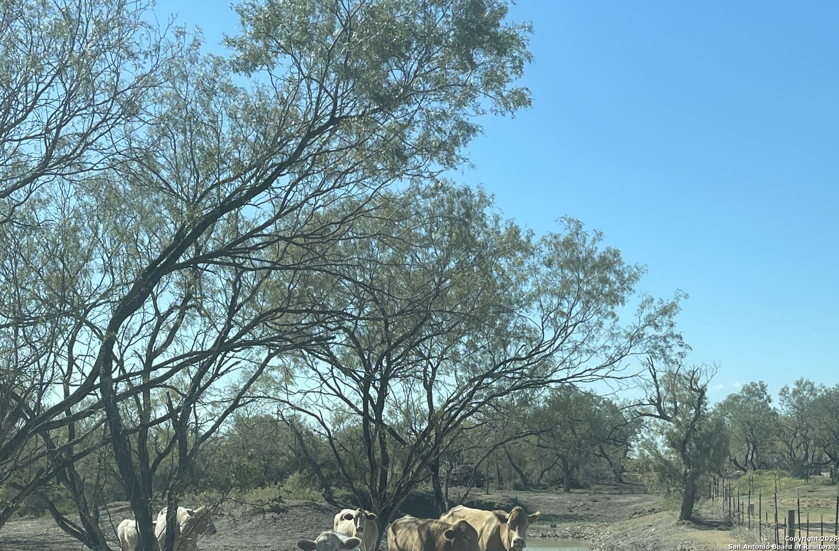 0 Fm 1346 St. Hedwig, TX 78152 - Photo 10 of 17 a backyard of a house with lots of trees