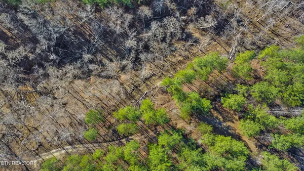 $110,000 | 0 Us Rt 27, Sunbright, TN 37872