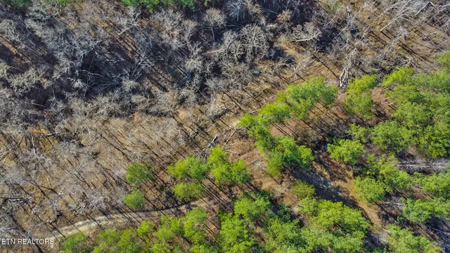 $125,000 | 0 Us Rt 27, Sunbright, TN 37872