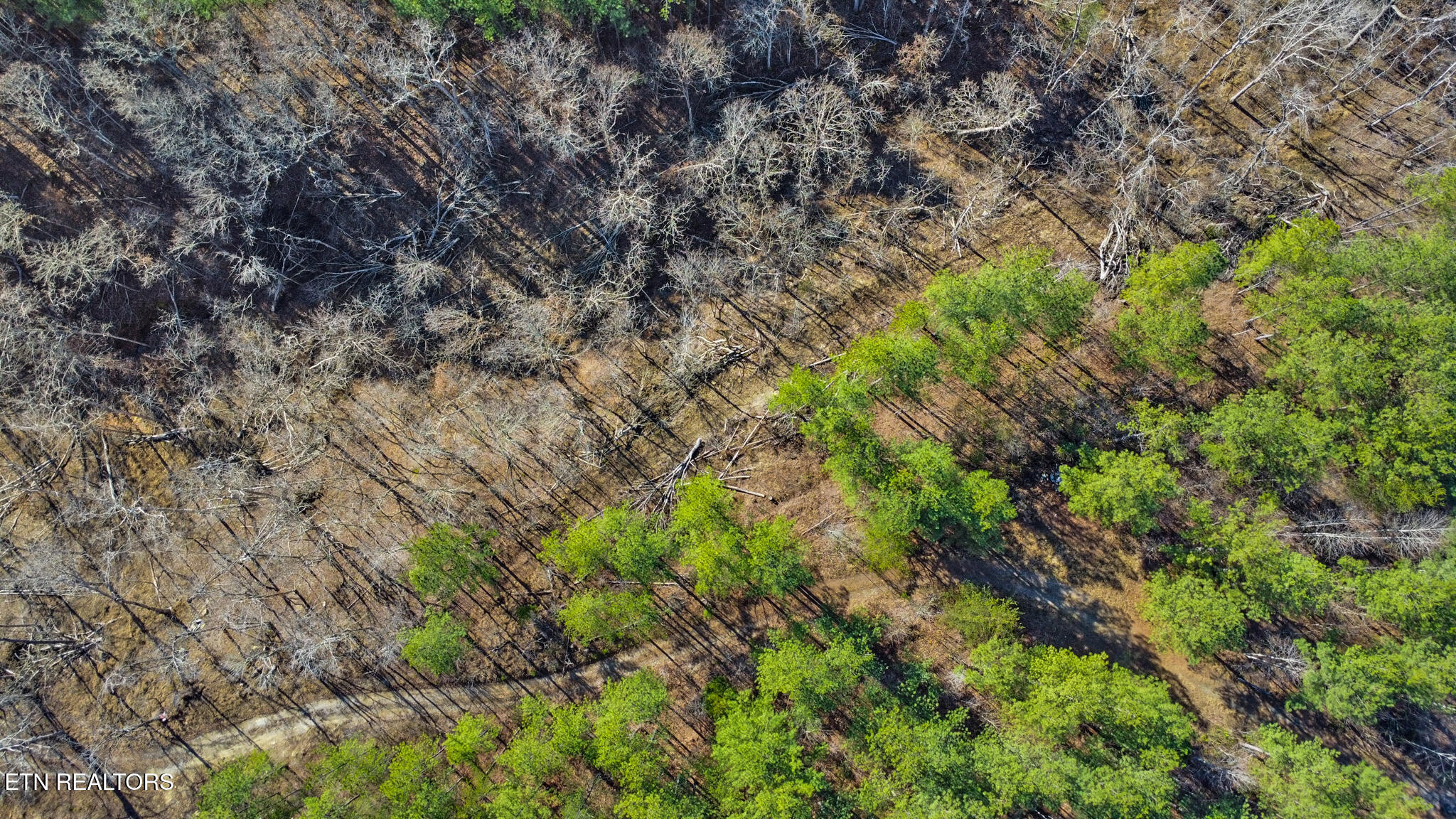 0 Us Rt 27 Sunbright, TN 37872 - Photo 11 of 18 dji_0871-dji_0873