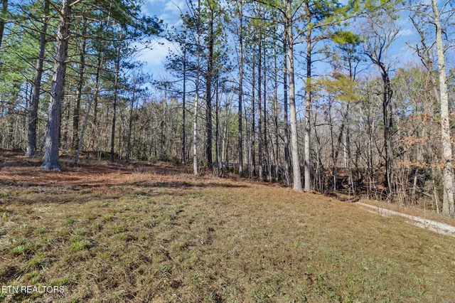 $125,000 | 0 Us Rt 27, Sunbright, TN 37872