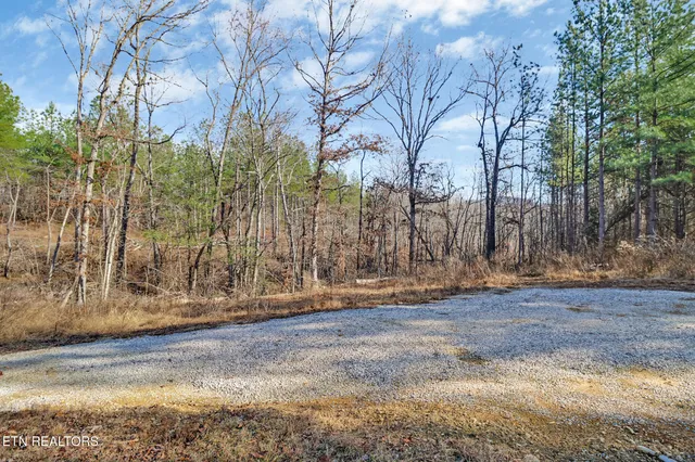 $125,000 | 0 Us Rt 27, Sunbright, TN 37872