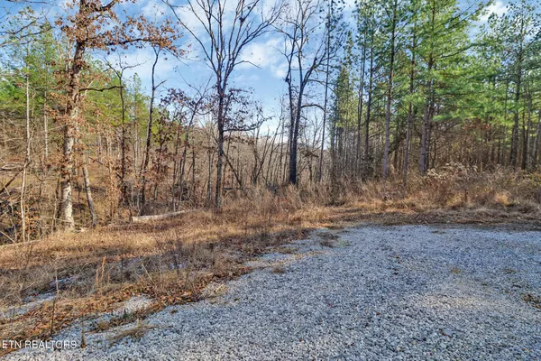 $110,000 | 0 Us Rt 27, Sunbright, TN 37872