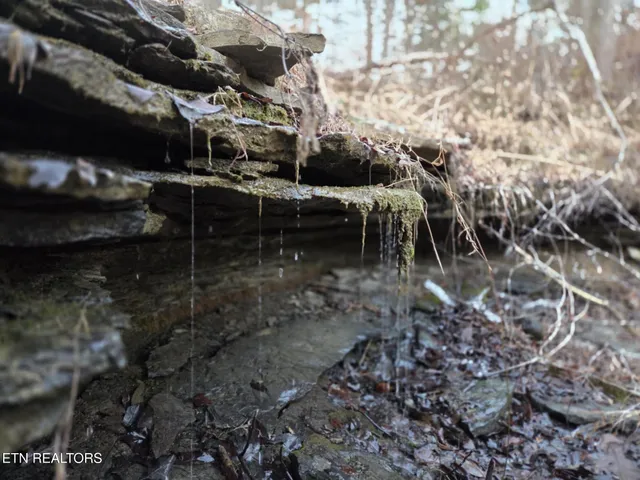 $125,000 | 0 Us Rt 27, Sunbright, TN 37872