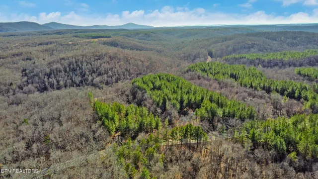 $125,000 | 0 Us Rt 27, Sunbright, TN 37872