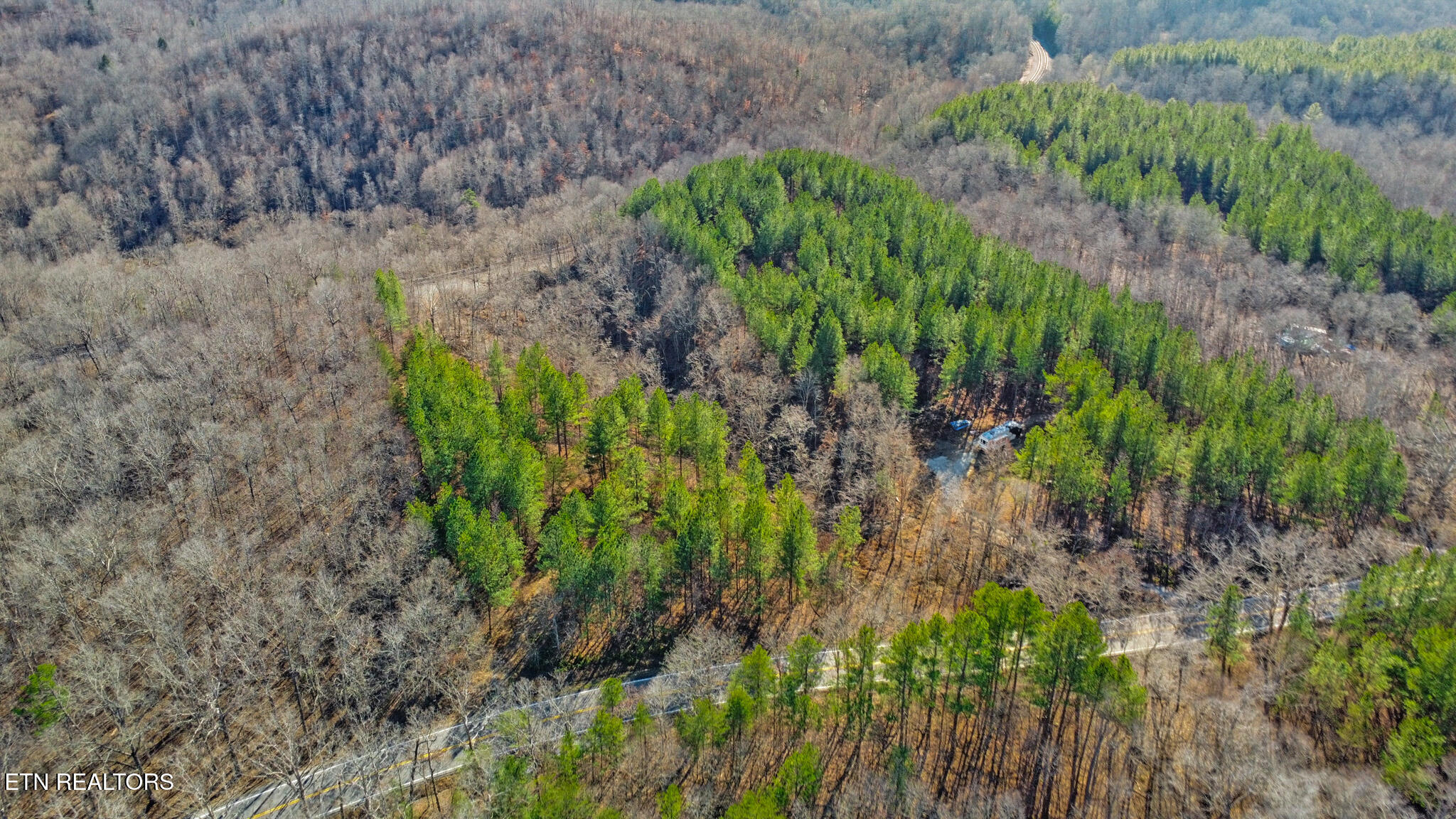0 Us Rt 27 Sunbright, TN 37872 - Photo 10 of 18 dji_0868-dji_0870