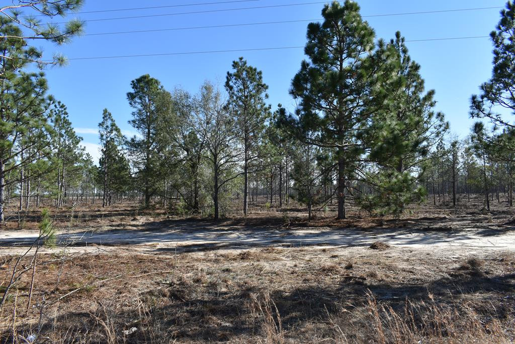 Lot 2-3) Lot 2-3) State Park Road Windsor, SC 29856 - Photo 1 of 10