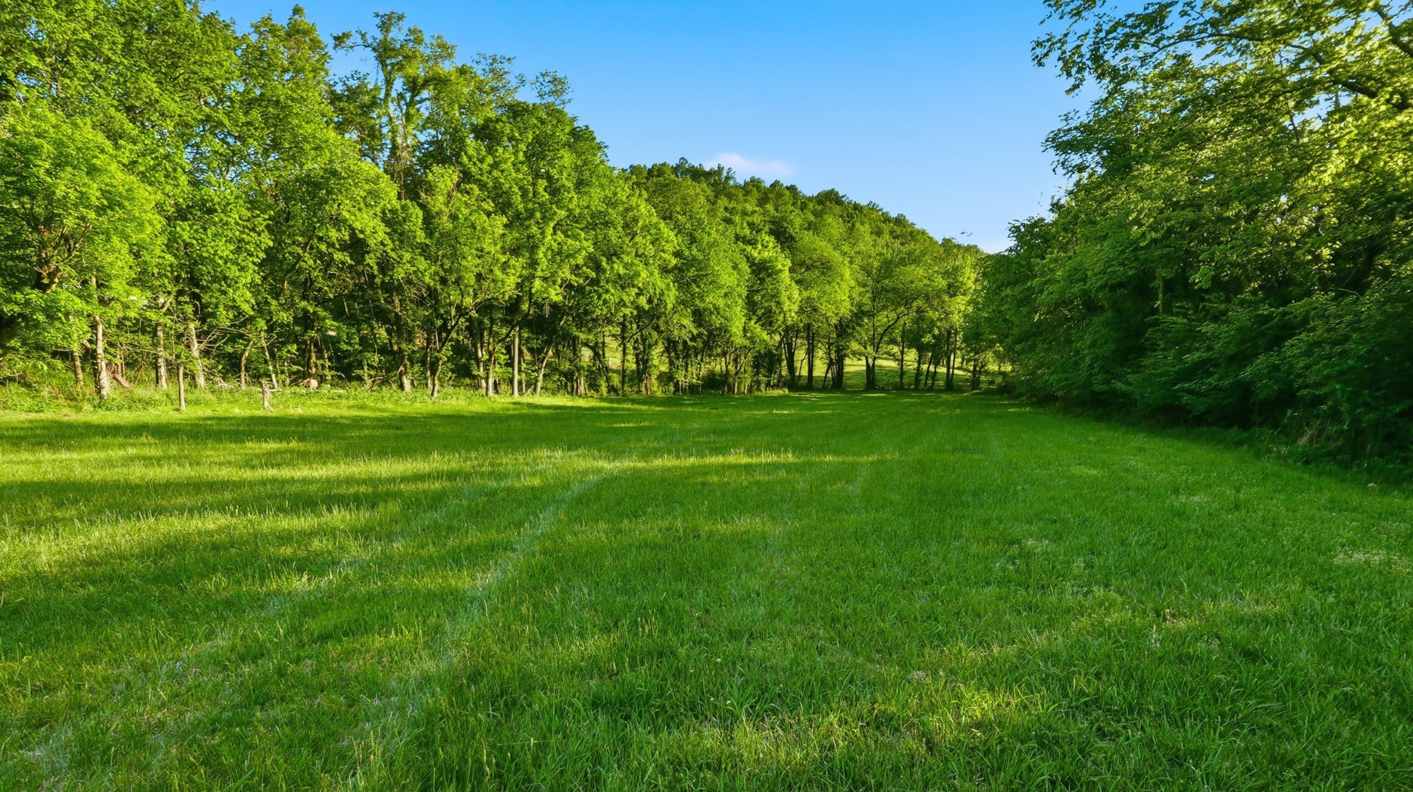 138 Cross Creek Drive Manchester, TN 37355 - Photo 40 of 57