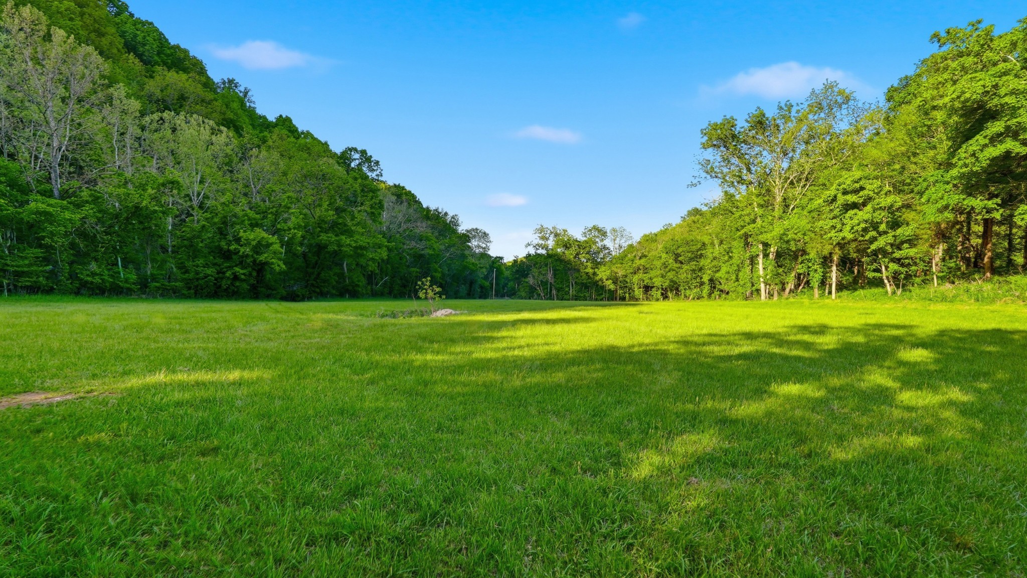 138 Cross Creek Drive Manchester, TN 37355 - Photo 41 of 57